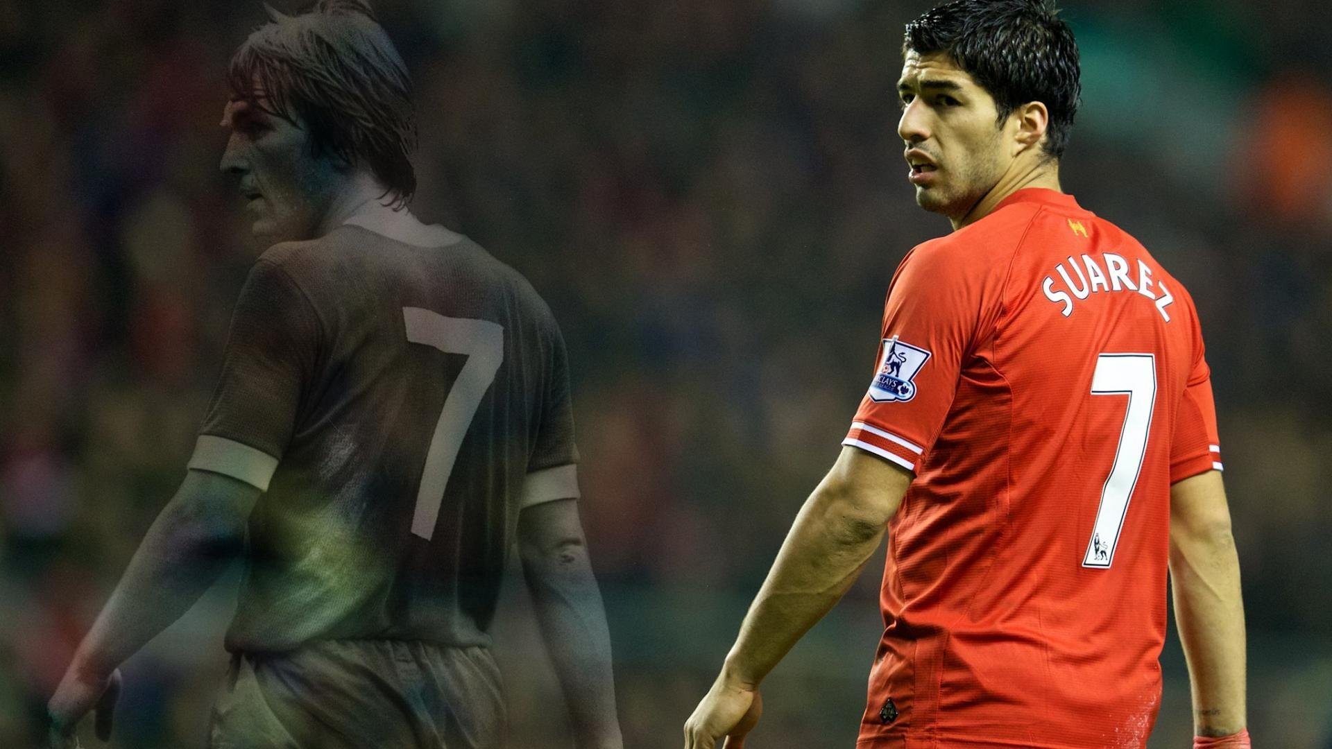 日本男泳队自由泳划频稳定，节奏控制佳，男子自由泳中国日本韩国